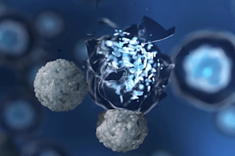 create 3d immunotherapy, cancer drug moa and cell therapy animation