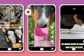 create viral tik tok video ads, tik tok ads for dropshipping