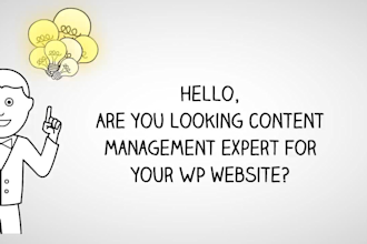 do professional wordpress data entry and blog post