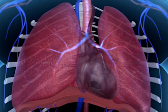 3d medical animation, medical video, scientific video, medical product animation