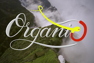 animate your lettering or signature