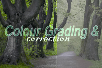 do color grading for your cinematic and short film video