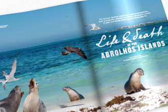 professionally edit your travel video