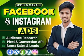 set up facebook ad campaigns, instagram ads, and meta ads with my action plan