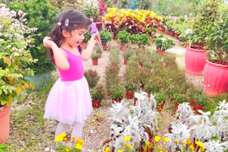your kids video editor for youtube professionally
