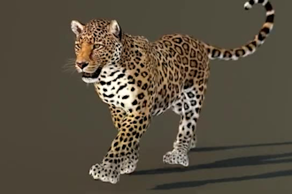 integrate 3d cgi animal model, 3d ue5 animal, animation to your film, vf
