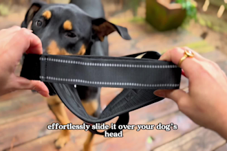 create dog ugc video ads