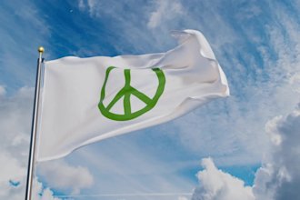make an professional flag animation video with your logo