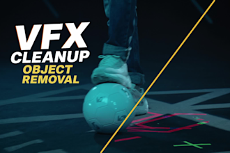 do flawless clean up , wire removal ,vfx paint