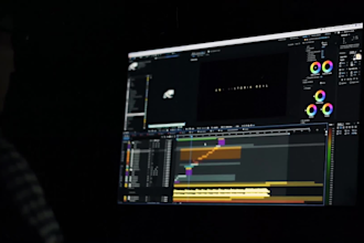 do professional video editing service in 24 hours