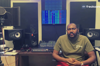 do professional audio mixing and mastering for your tracks