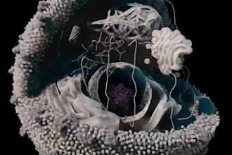 create 3d pharma oncology moa animation cells proteins and drug biotech visual