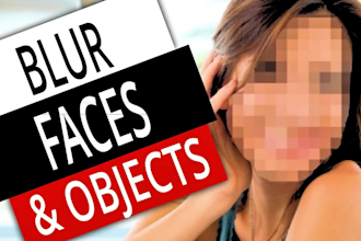 pixelate and blur faces, objects, text, car number plates in just 24 hours