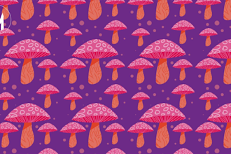 design a seamless pattern for fabric, wallpapers, anything