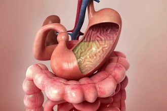 do 3d medical animation pharm moa biotech 3d scientific explainer video