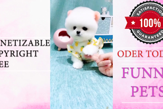 create monetizable cute funny pets compilation videos