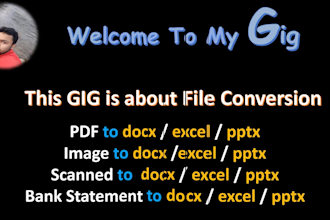 convert file from PDF to excel in 24 hours