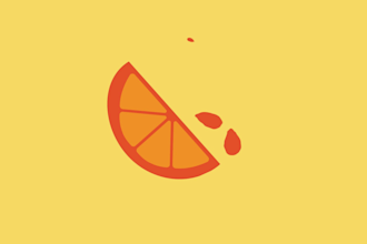 create custom 2d explainer video animation