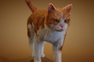 integrate 3d animal, animation, 3d animal model, 3d pet design, 3d cat for film