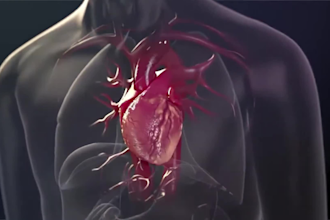 create custom medical animation video surgery medical animation scientific video