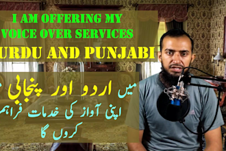 record professional urdu punjabi voice over for you