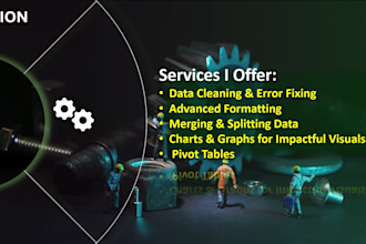 clean, format, merge, split excel data, create charts and pivot tables