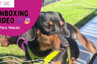 create ugc styling unboxing for pet brands