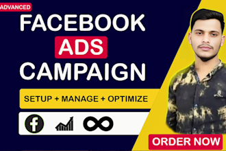 setup and manage facebook ads campaigns manager