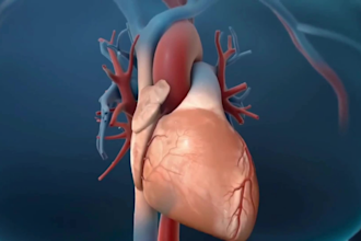 create 3d medical animation , medical products animation, medical procedure