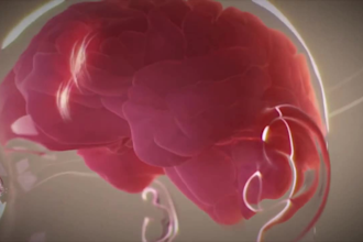 do 3d medical animation, 3d anatomy biotech, 3d surgical device animation