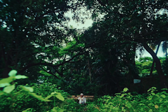 do professional video color grading