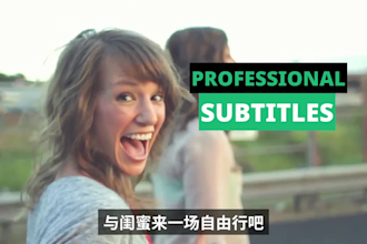 professionally add chinese subtitles captions to video