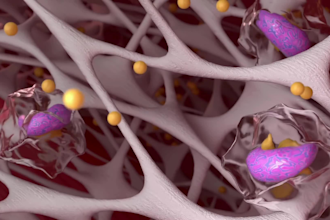 do 3d medical animation 3d carotid endarterectomy  medical surgical animation