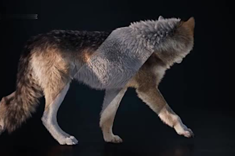do realistic 3d animal animation, 3d animal model, 3d animal animation, cgi, vfx