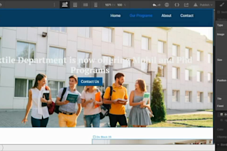 fix issues,customize, design or redesign webflow website