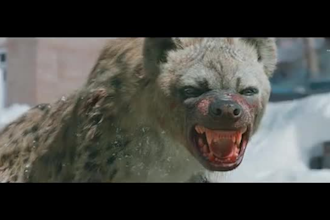 do cgi realistic 3d animal model 3d animal animation vfx xgen groom fur for film