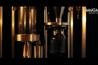 provide engaging explainer videos, professional, effective for your business