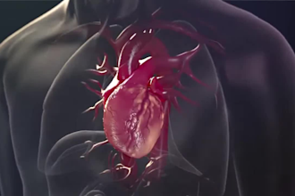 create 3d medical animation, 3d surgery animation and 3d anatomy explainer video