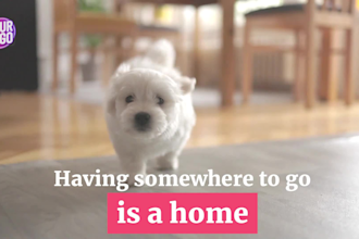 create a funny dog video ad for a real estate business