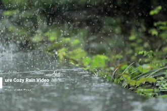 create HD thunder sounds with rain video