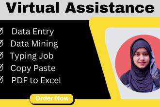 do data entry typing work job, copy paste, excel data entry and pdf to excel