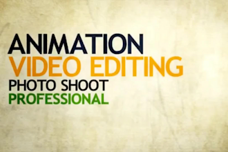 do professional video editing within 24 hours