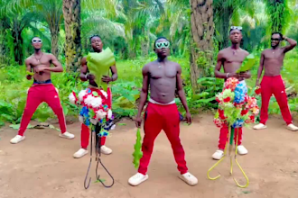 wish funny happy birthday video or happy birthday video