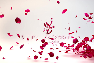 do intro womens fashion logo in any color