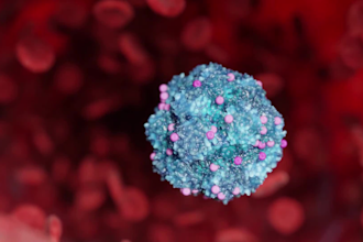 do 3d medical animation