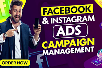 run highly targeted profitable facebook and instagram ads campaign