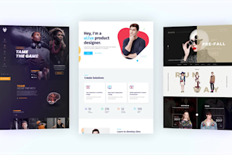 do topnotch wordpress website installation and setup