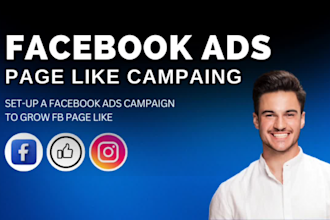 set up a facebook ad campaign to grow fb page like