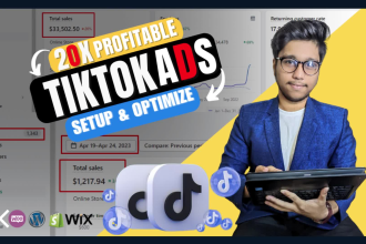 be your tik tok ads manager and grow your dropshipping business on tik tok ads