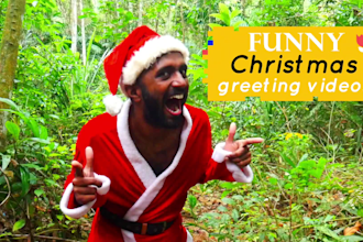 make christmas and any funny videos